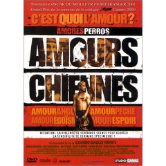 amours-chiennes