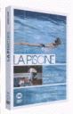 La piscine